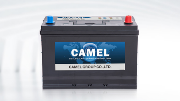 Deep Cycle Battery